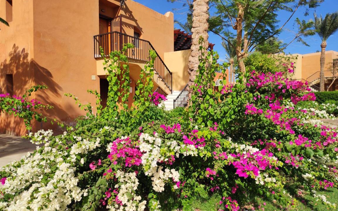 Makadi Bay Apartment | 126 m² Apartment ∙ 3 bedrooms ∙ 5 guests