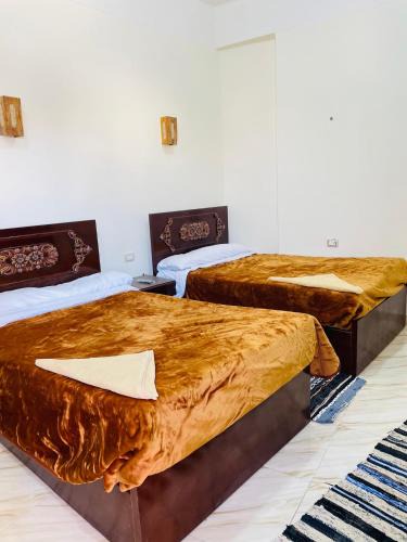 Siwa Hostel | Adrar nshal ادرار نشال