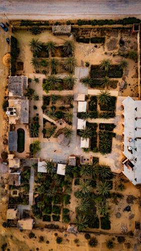 Siwa Cabin | Ayur Lodge Siwa Oasis