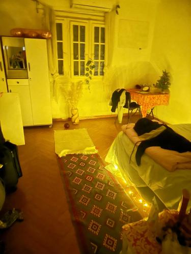 Agouza Bed & Breakfast | Baraka