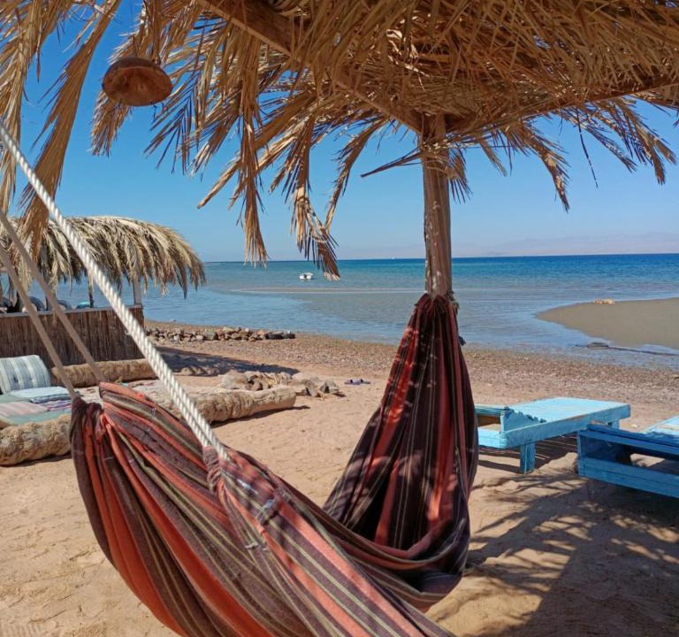 Nuweiba Hotel | blue Bird