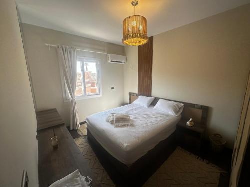 Al-Khalifa House | Cairo hotel art city