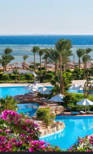 Sharm El Sheikh Ski Chalet | Chalet in amwaj oyoun resort & casino - families and couples only