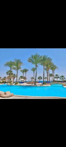 Ain Sokhna Apartment | Chalet La Sirena Mini Egypt Ain Sokhna