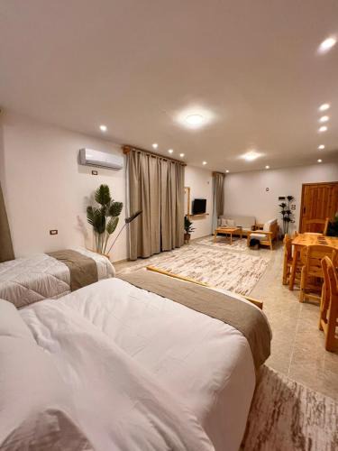 Siwa Hotel | deluxe experience siwa
