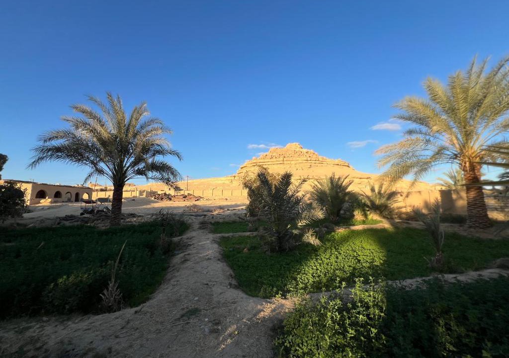 Siwa House | Eeri Siwa Oasis - Authentic Desert Guesthouse