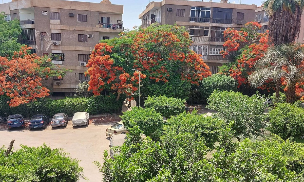 Taqseem Laselky Apartment | Excellent furnished apartment ready to move in quite area at Maadi