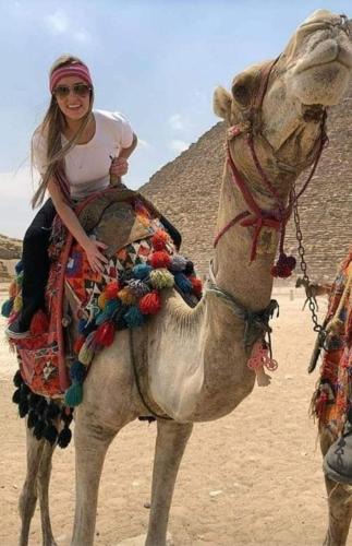 Al Haram Hotel | Hotel Pyramids