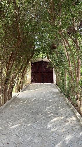 Beni Suef Governorate Hotel | iBiZa Hostel