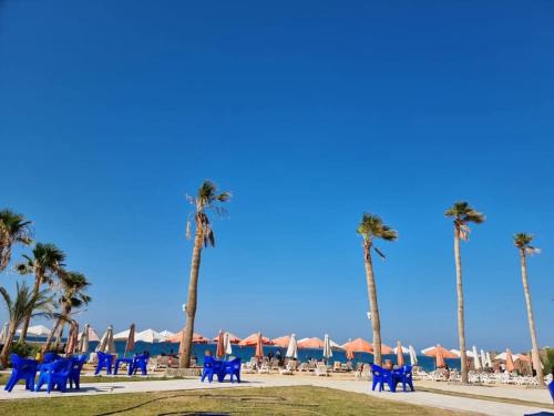 El Gouna Hotel | Juliana beach resort