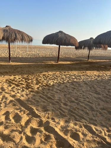Ain Sokhna Apartment | Laila Palm beach chalet