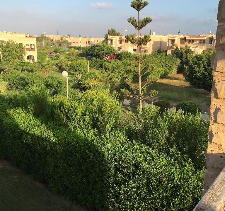 Marina El Alamein Apartment | Marina 4 Challet