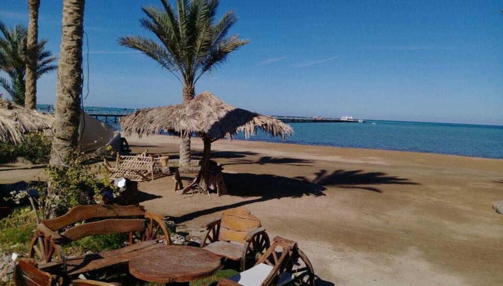 Dahar Hotel | Palma Resort