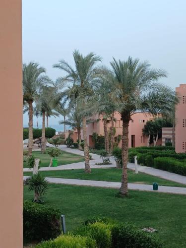 Ain Sokhna Apartment | Palmera