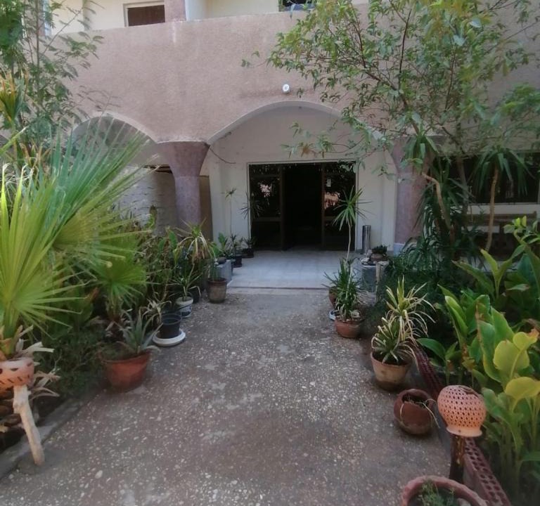 Luxor Hotel | Rose Guest House 您在盧克索的第二個家