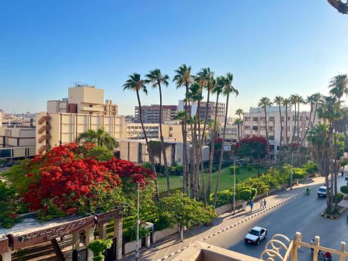 Mansoura Apartment | The university view apartment 2