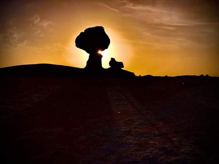 Bawati Other | Western desert safari