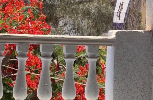 Marsa Matruh Hostel | 龙门客栈青年旅舍