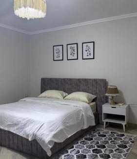 Gezira Apartment | Al Zamalek Island- cozy 2BD apartment -Zamalek