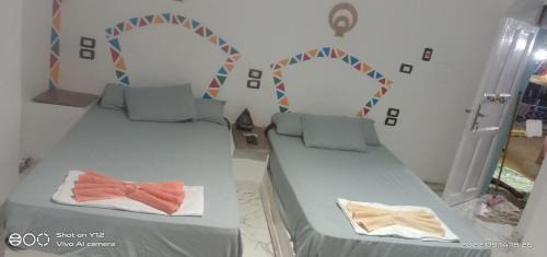 Aswan House | Amir Nile Guest house