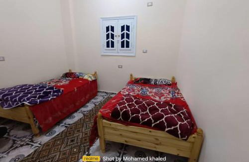 Siwa Apartment | Amoun أمون