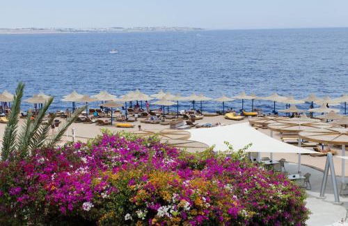 El Hadaba Resort | Amphoras Blu Ultra-All Inclusive Adults Only