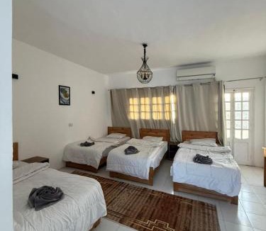 Dahab Hotel | Antika Hotel