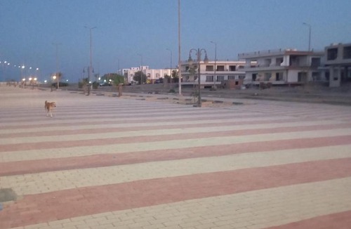 Marsa Alam Hotel | Beach hostel marsa alam