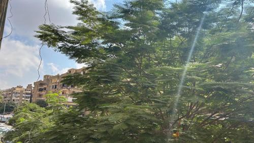 Nasr City Apartment | Beautiful 2 bedroom apartment near Cairo International Airport in Nasr City