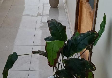 Abu Simbel Apartment | Blue Rose Guest House