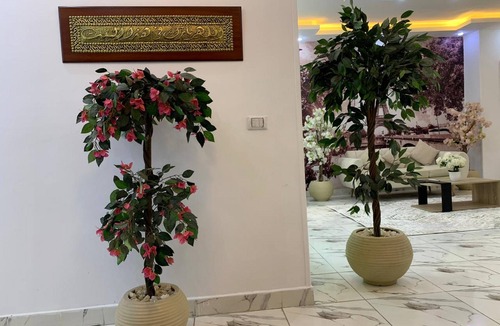Nasr City Apartment | Casa Rosa - المهندسين - نادي الصيد