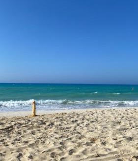 Marina El Alamein Ski Chalet | Chalet with Private Garden Green Beach North Coast