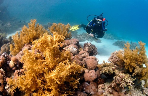 Dahab Hotel | Dive Urge
