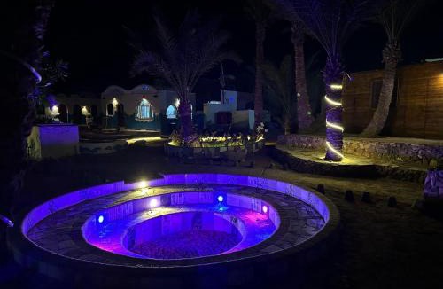 Dahab Other | Dolphin Camp