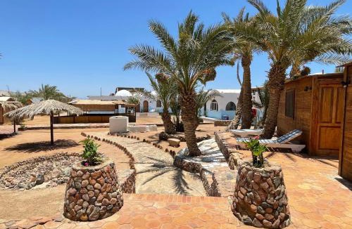Dahab Other | Dolphin Camp