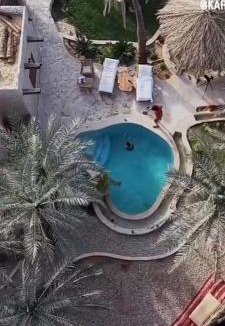 Siwa Villa | Hidden Garden House