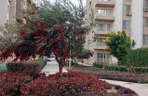 Ash-Shruq Apartment | Hotel-Style 3-Bedroom Apartment Near Grand Egyptian Museum, Wasal, Madinaty, New Cairo
