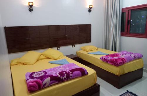 Aswan House | Jamaica Guest House