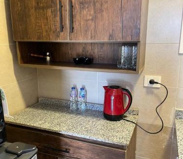 Sheikh Zayed City Apartment | Lux zayed penthouse