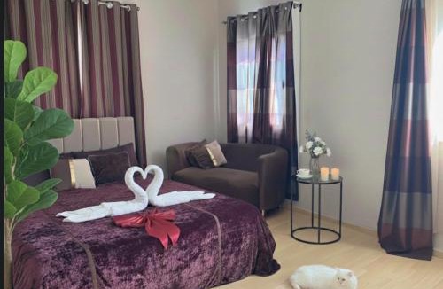 Dream Land Apartment | Luxury 2BR Apartment in Dreamland-701