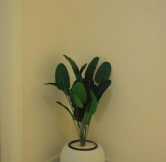 New Cairo Apartment | New Capital