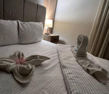 Al Haram Hotel | New pyramids