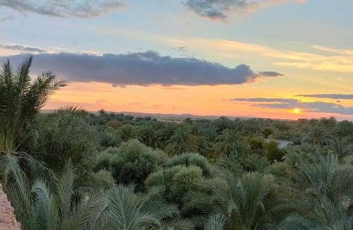 Siwa Apartment | Palma Garden