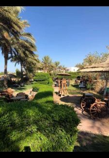 Al Ahyaa Hotel | Palma resort send what's