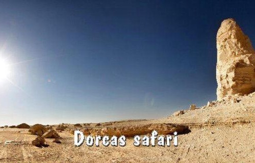 Bawati Other | Safari trips in Egyptian Western Desert