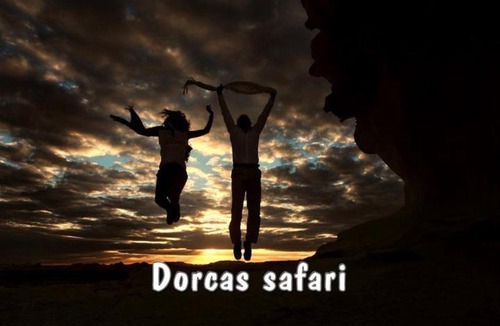 Bawati Other | Safari trips in Egyptian Western Desert