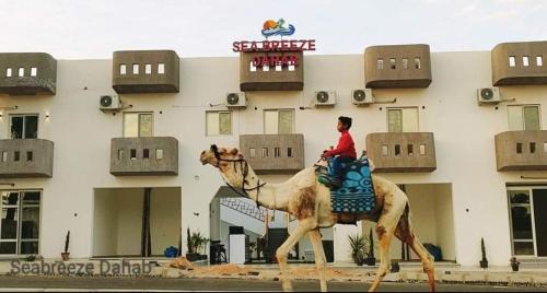 Dahab Hotel | Sea Breeze Dahab