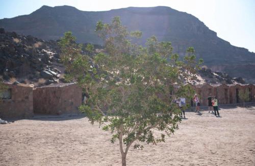 Abu Zenima Other | Serabit Barakat Camp