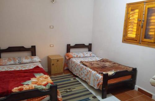 Siwa Apartment | Share house