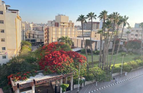 Mansoura Apartment | The university view apartment 2